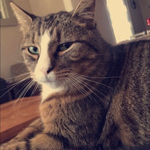 Meet your Posher, Tayten